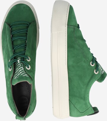 Paul Green Sneaker low i grøn