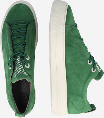 Paul Green - Zapatillas deportivas bajas en verde