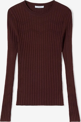 Pullover di MOTIVI in marrone: frontale