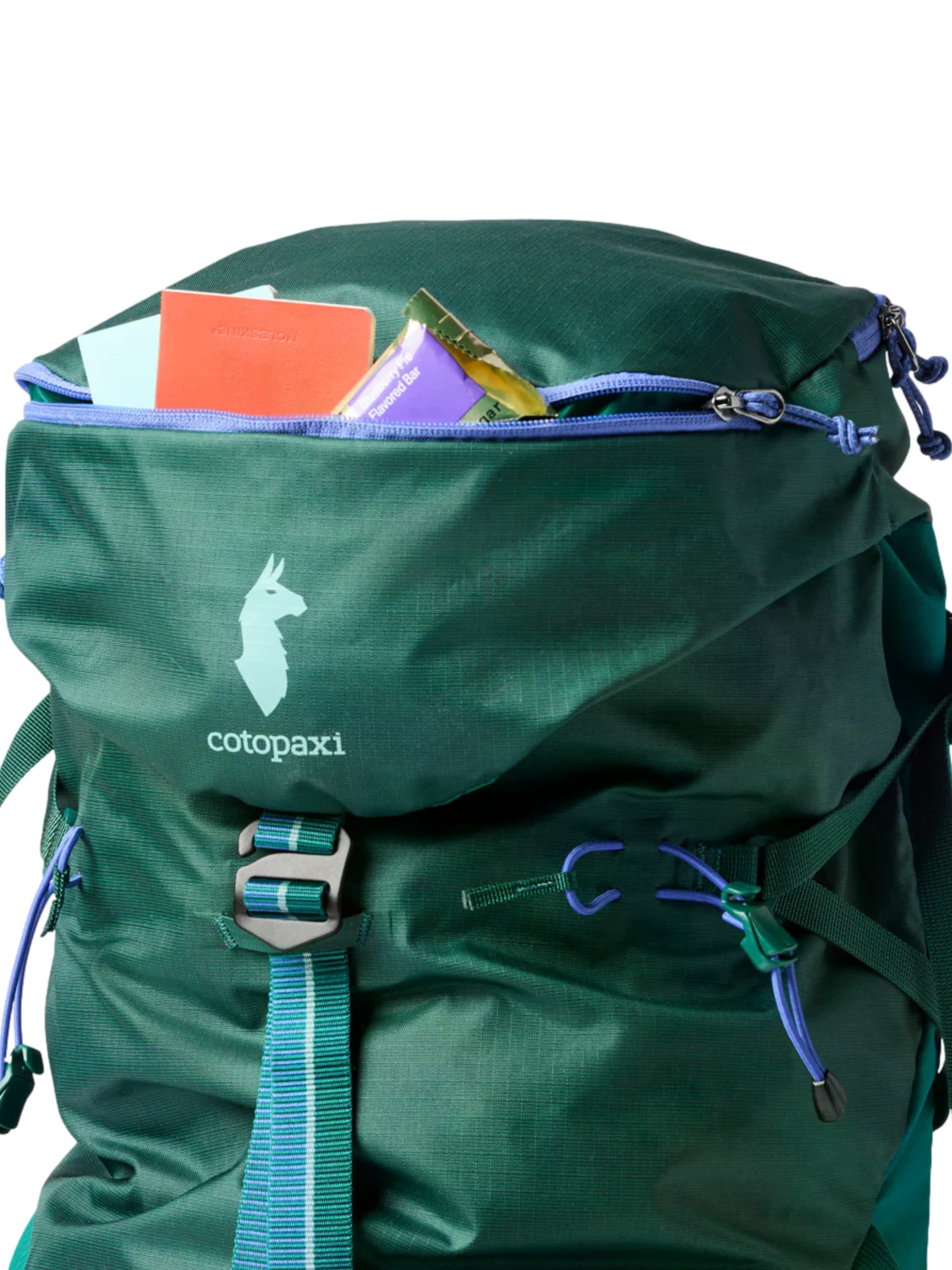 cotopaxi Rucksack 'Arenal' in Grün