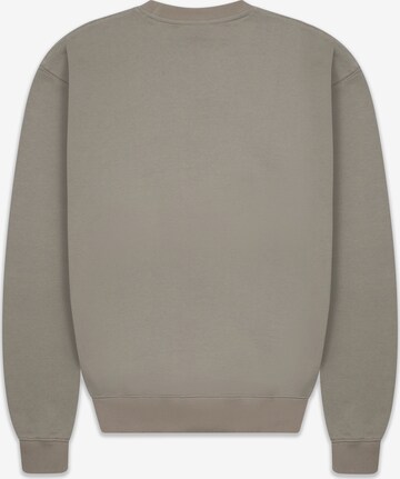 Dropsize Sweatshirt in Grau