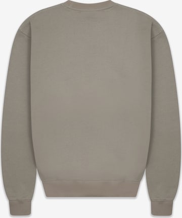 Dropsize Sweatshirt i grå