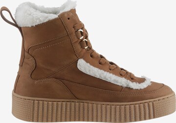 Bottines à lacets 'Essential' TOMMY HILFIGER en marron