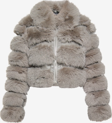 Geacă de iarnă de la faina pe gri: față