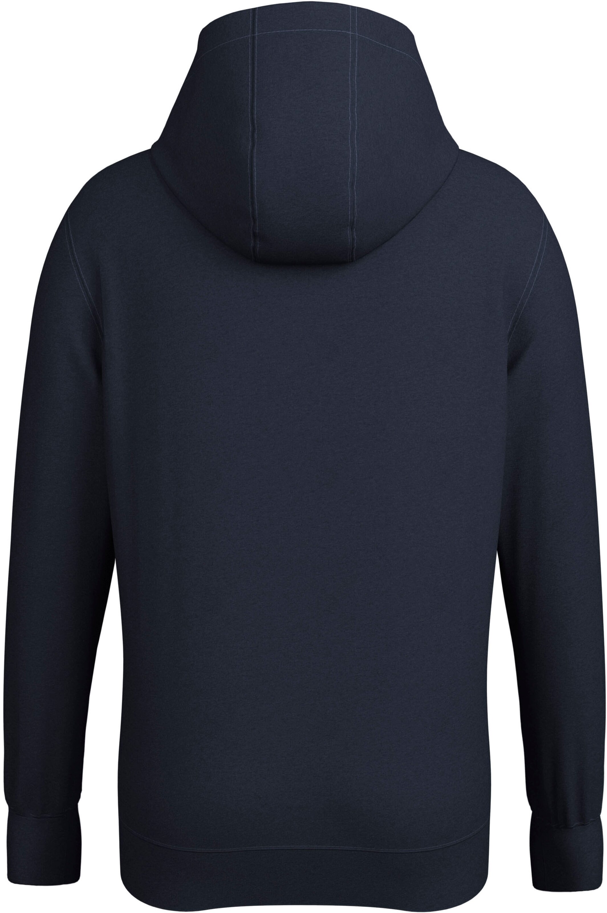 DELMAO Sweatshirt in Blue