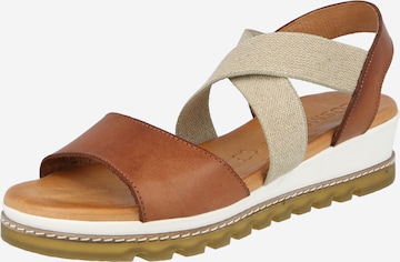 COSMOS COMFORT Strap sandal in Brown: front