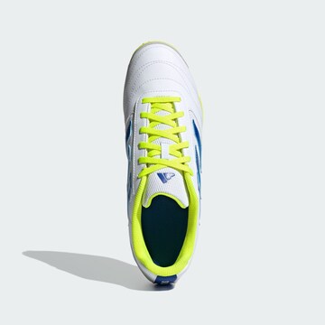Chaussure de foot 'Super Sala II' ADIDAS PERFORMANCE en blanc