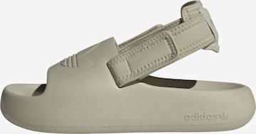 ADIDAS ORIGINALS Sandale 'Adifom Adilette' in Grau: Vorderseite