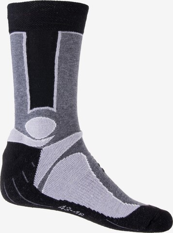 Rohner Socks Sokken in Grijs