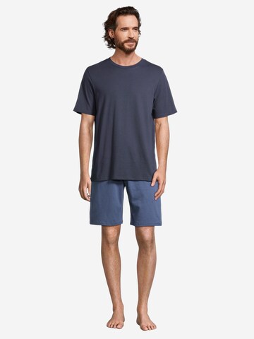 SCHIESSER Short Pajamas 'Night & Home' in Blue
