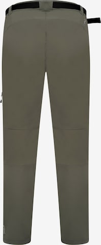 DARE2B Regular Outdoorhose 'Tuned In' in Grün