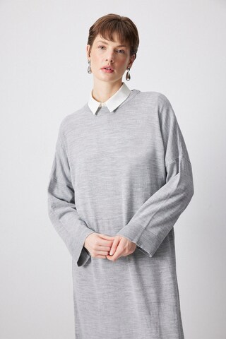 Touche Prive Kleid in Grau