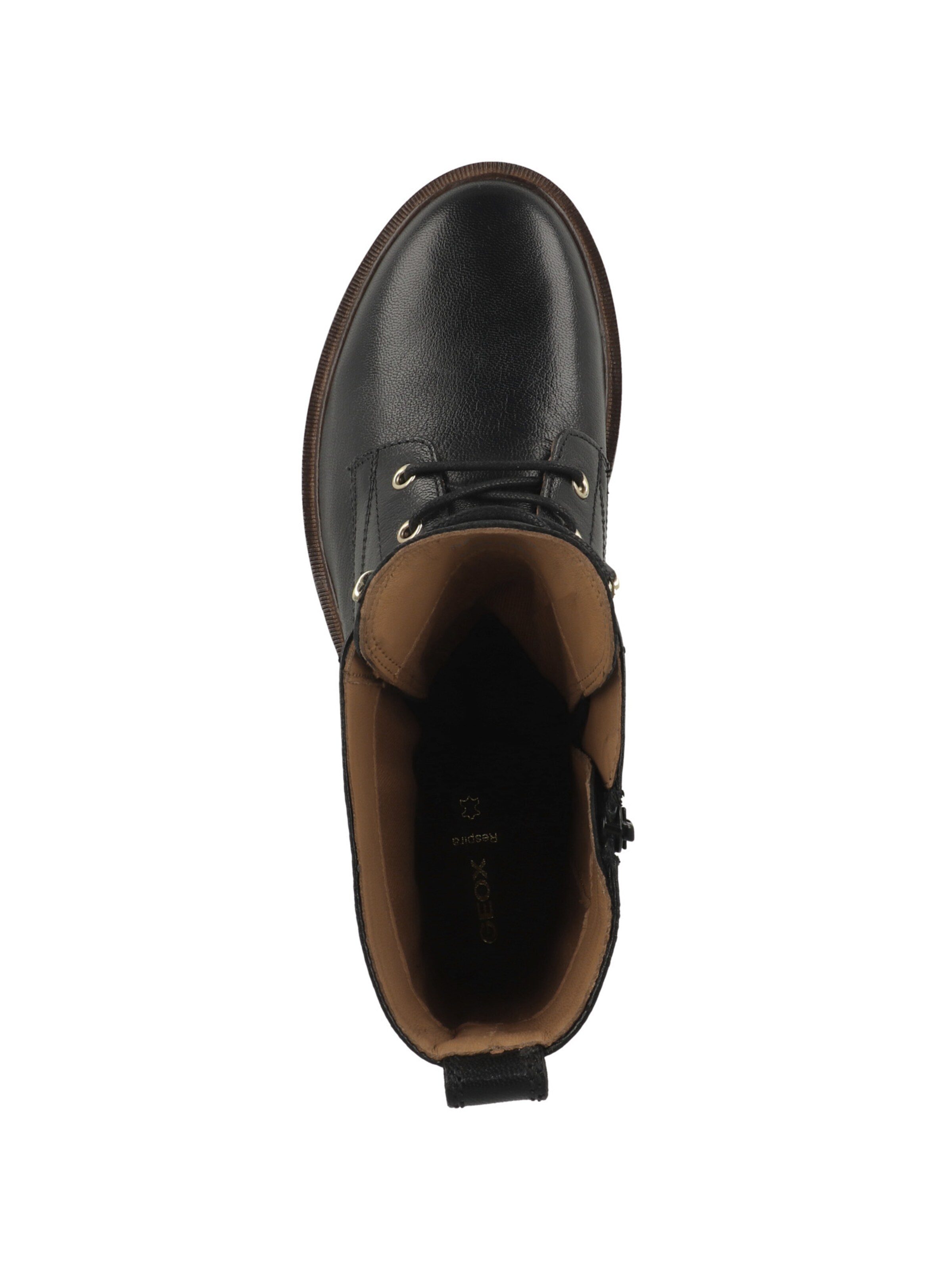 GEOX Veterlaarsjes 'D Norize' in Zwart