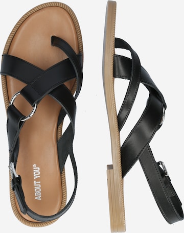 ABOUT YOU Sandalen met riem 'Tamina' in Zwart