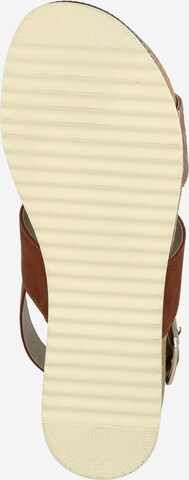 BULLBOXER Sandal in Brown