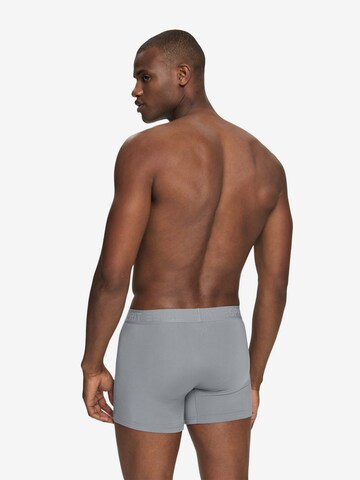 ESPRIT Boxershorts in Grijs