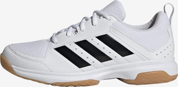 Scarpa sportiva 'Ligra 7' di ADIDAS PERFORMANCE in bianco: frontale