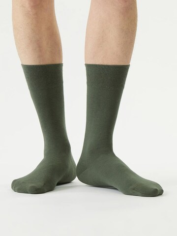 Von Jungfeld Socks 'Herbstfarben' in Green