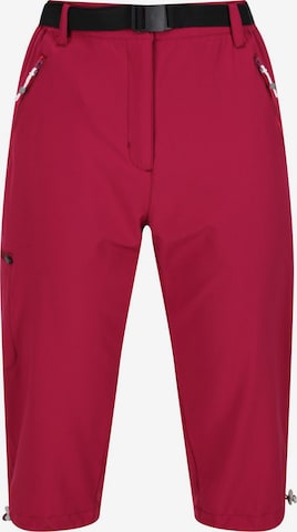 REGATTA Outdoor Pants 'Xert' in Purple: front