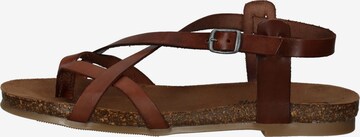 COSMOS COMFORT Sandalen met riem in Bruin