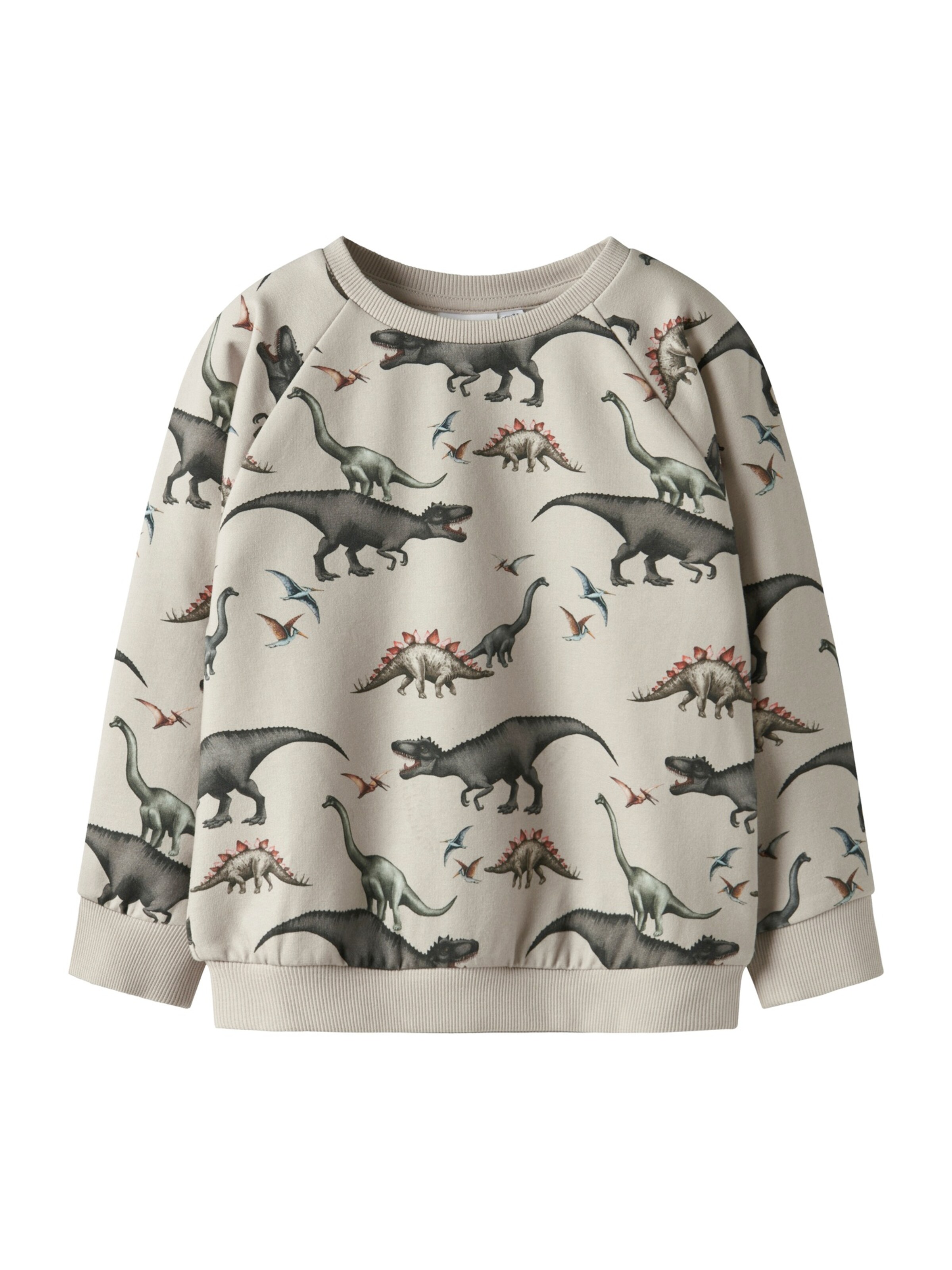 NAME IT Bluza 'NMMBertil' w kolorze beżowy: przód