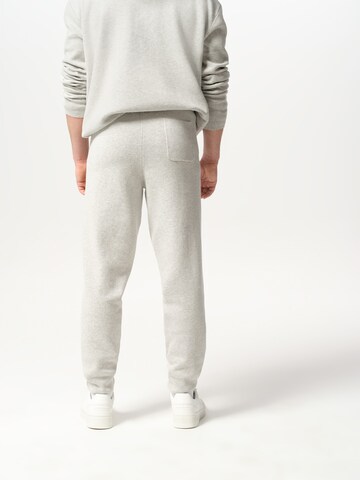 Tapered Pantaloni 'Miguel' di ABOUT YOU x Jaime Lorente in grigio