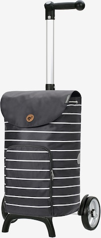 Andersen Shopper Trolley 'Mia' in Grijs: voorkant