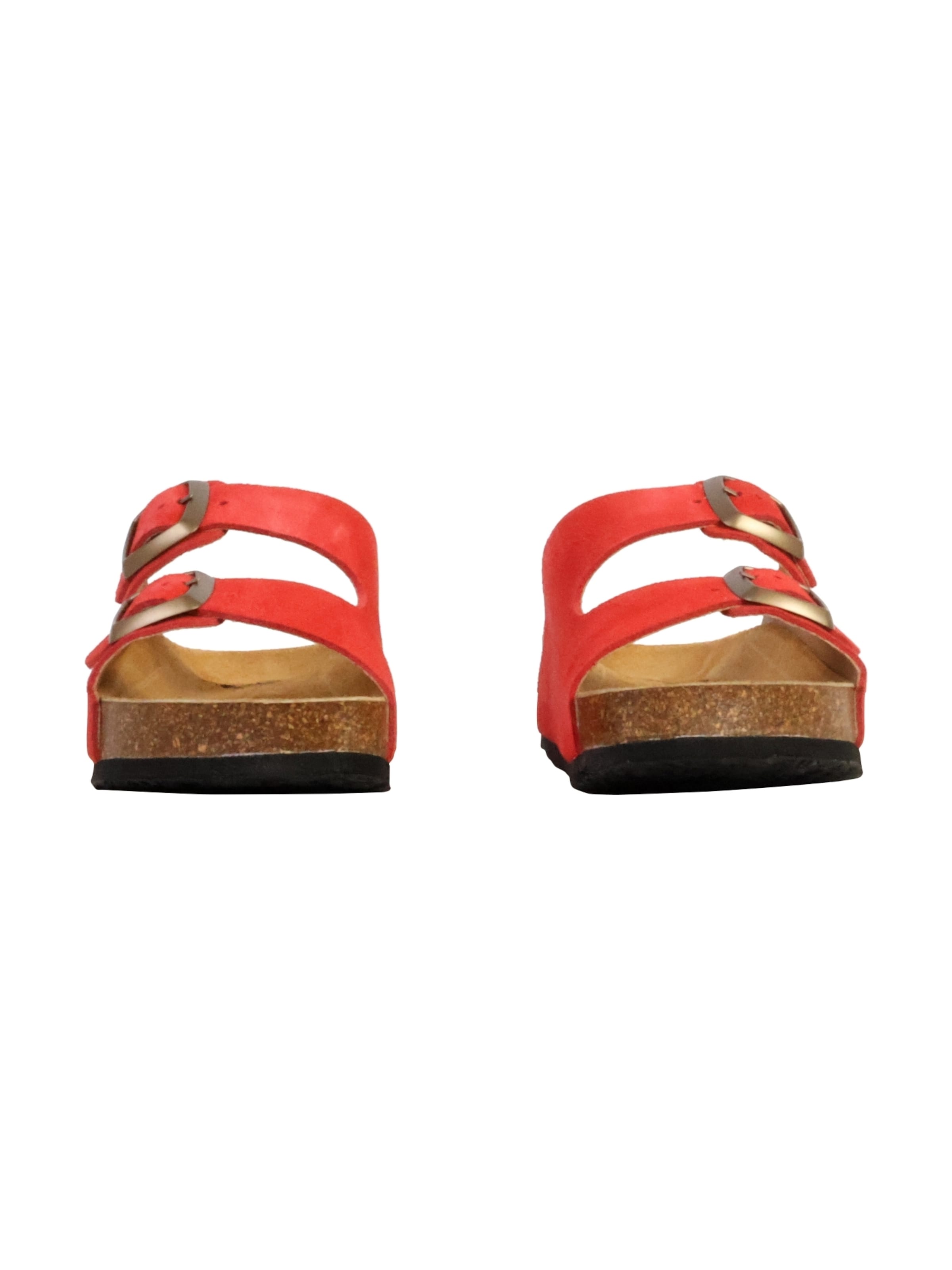 Plakton Muiltjes in Rood