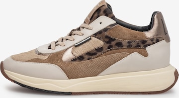 Floris van Bommel Sneaker 'Suvi 03' in Grau: Vorderseite