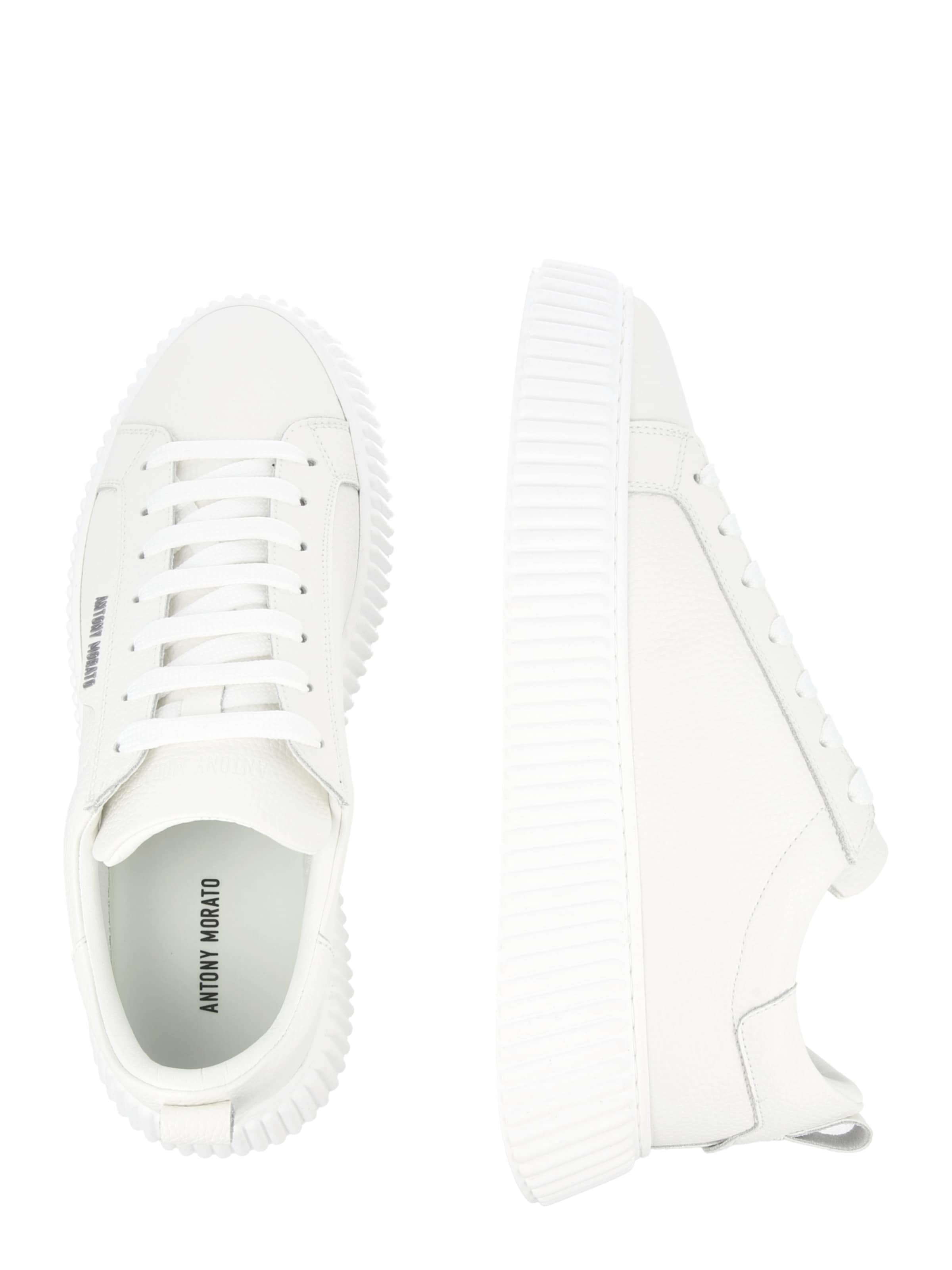 ANTONY MORATO Sneakers in White
