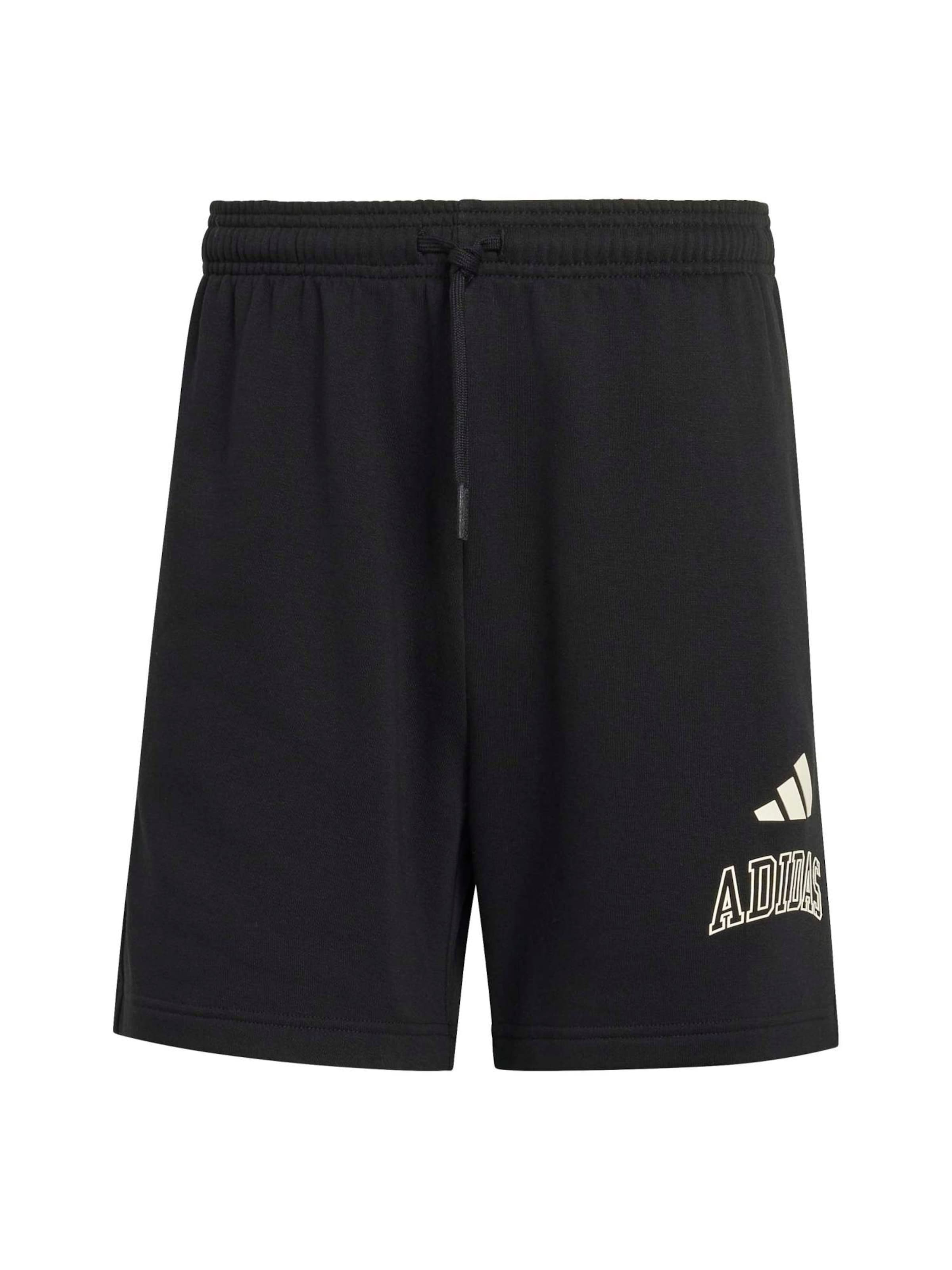 ADIDAS SPORTSWEAR Regular Workout Pants in Black: front