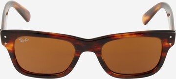 Ray-Ban Sonnenbrille '0RB2283' in Braun