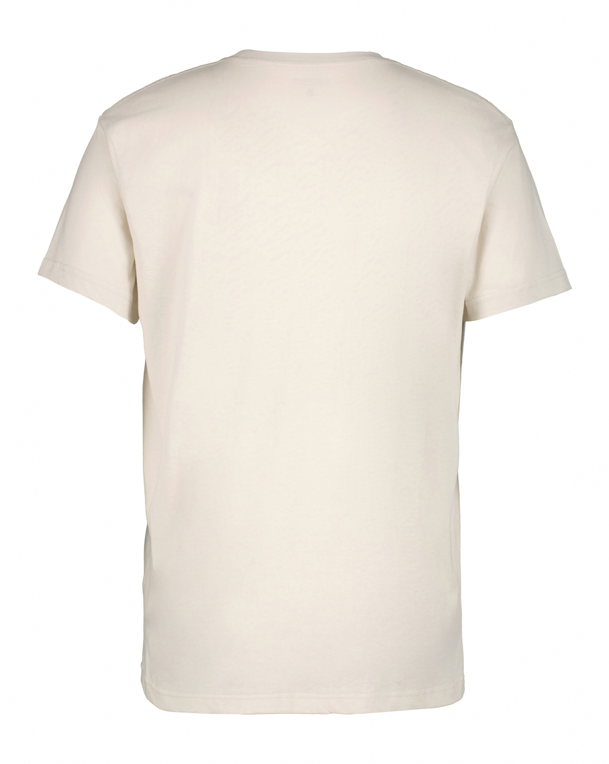 ICEPEAK T-Shirt in Beige