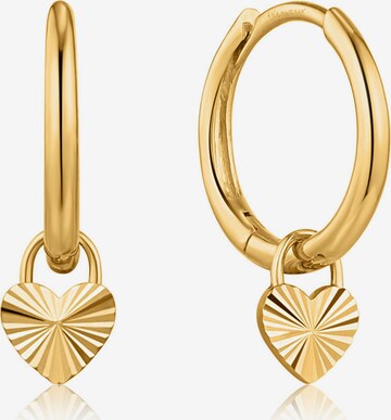 ANIA HAIE Earrings in Gold: front