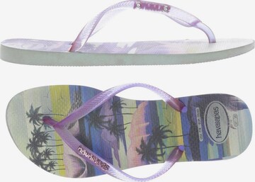 HAVAIANAS Sandals & High-Heeled Sandals in 37 in Purple: front