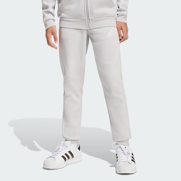 ADIDAS PERFORMANCE - Tapered Pantalón deportivo 'Entrada26' en gris: frente