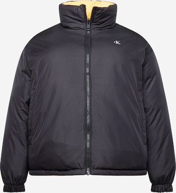 Calvin Klein Jeans Curve Winter jacket in Black: front