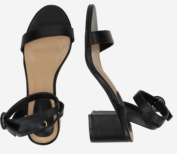 Dorothy Perkins Sandalen met riem 'Suki' in Zwart