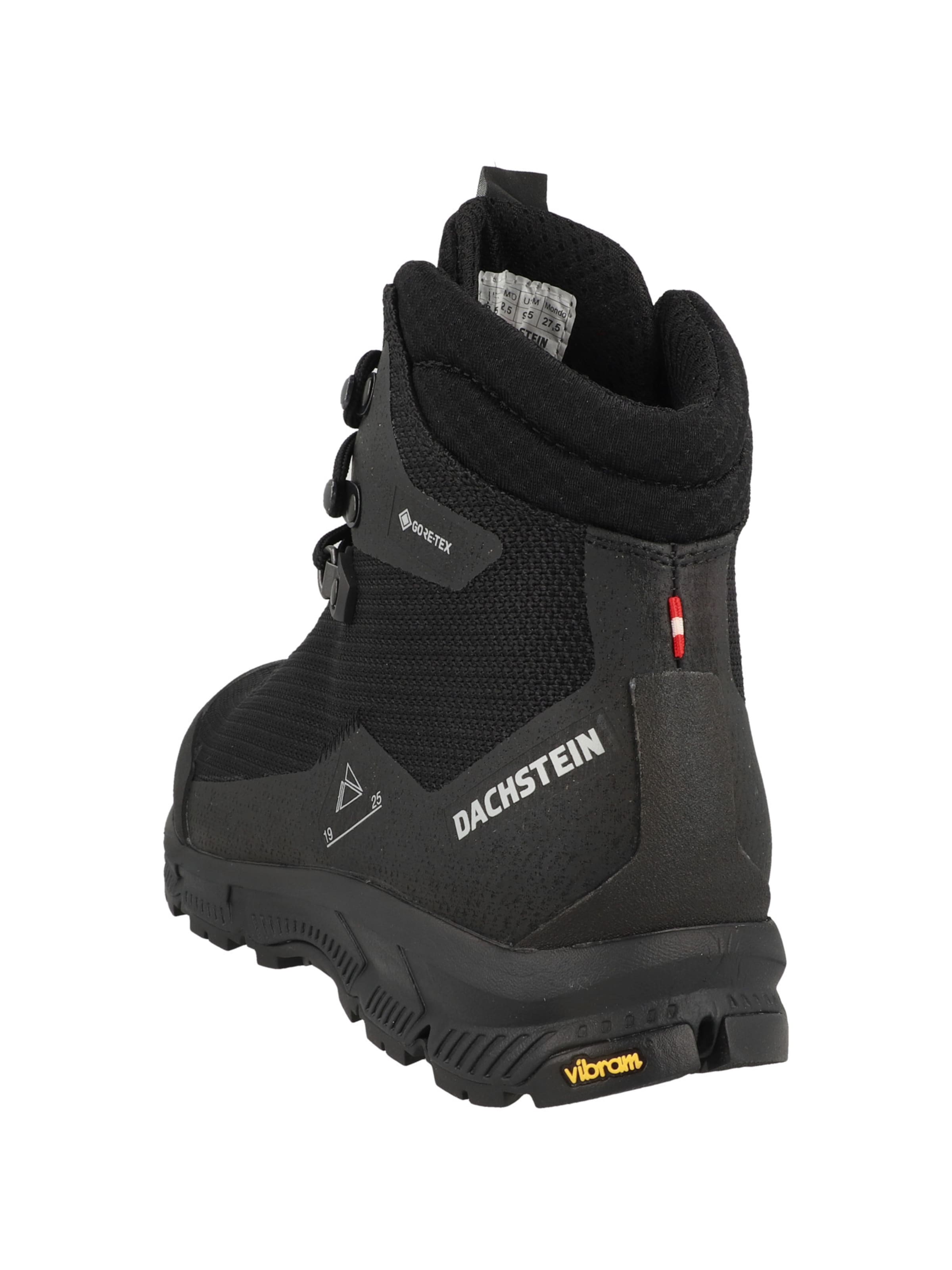 Dachstein - Sapato baixo ' Similaun GTX ' em preto