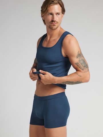 INTIMISSIMI Boxer shorts in Blue