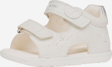 GEOX Open shoes in White: front