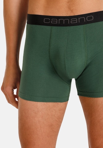 camano Boxershorts in Groen