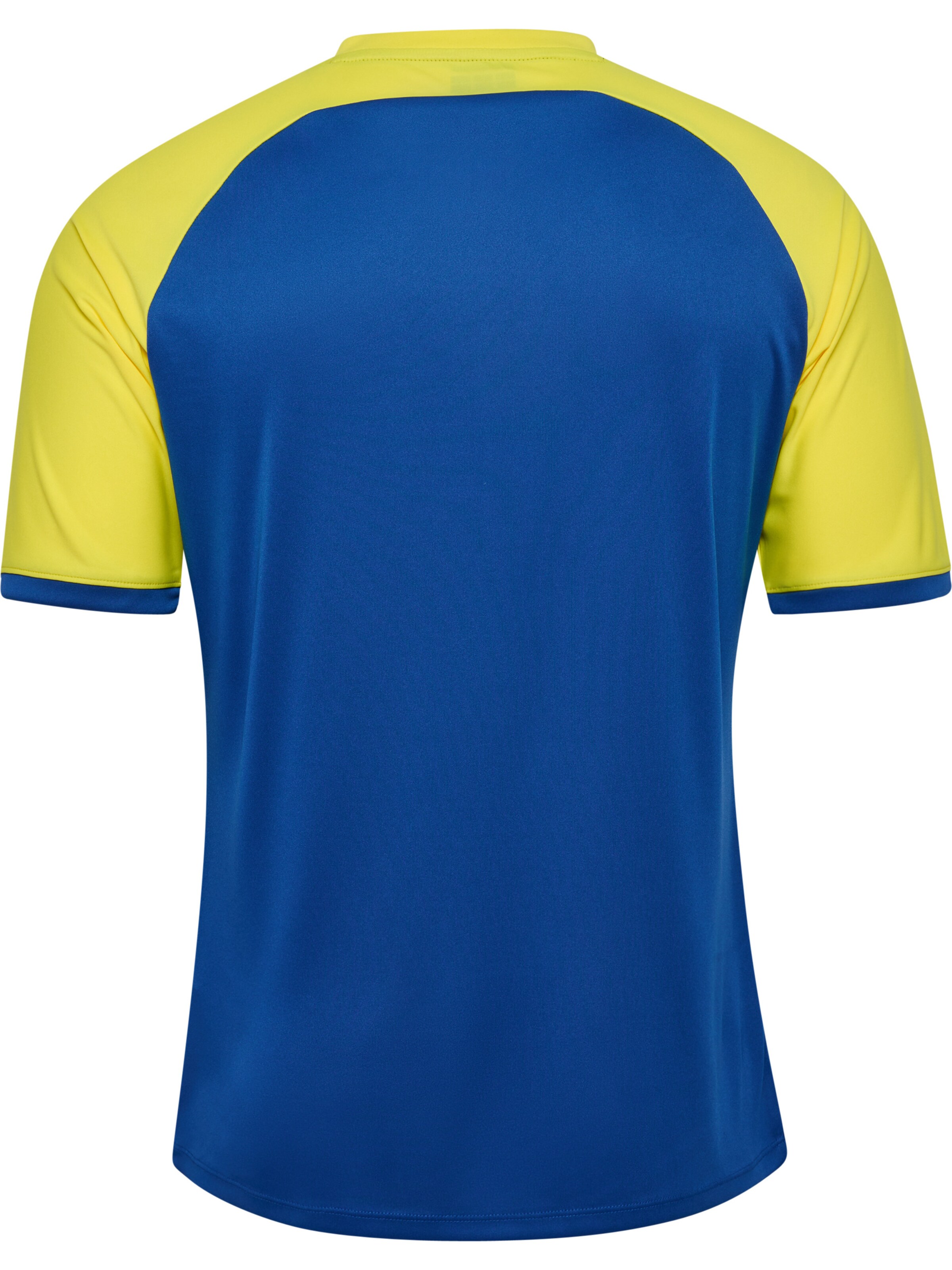 Hummel Performance Shirt 'Match League' in Blue