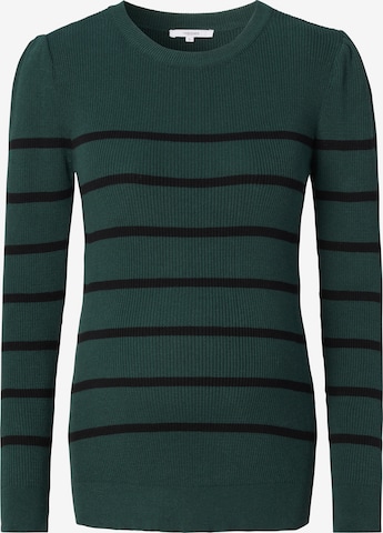Noppies Sweater 'Pioche' in Green