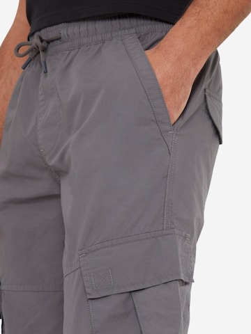 Threadbare Slimfit lange Cargohose 'Prince' in Grau