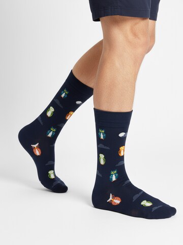 The Arctic Bay - Calcetines 'ZORA EDITION Gift box 4 Pack Unisex' en Mezcla de colores