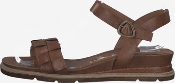 TAMARIS Sandalen met riem in Bruin