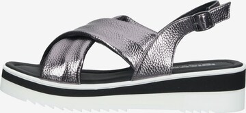 IGI&CO Strap Sandals in Grey