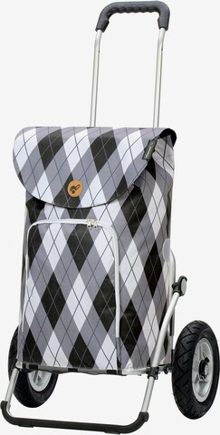 Andersen Shopper Trolley in Grijs: voorkant