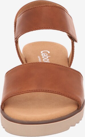 GABOR Strap Sandals in Brown